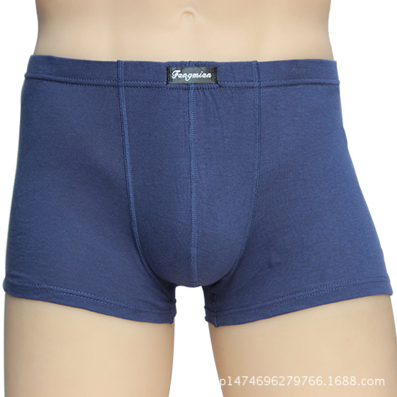 Men's cotton shorts