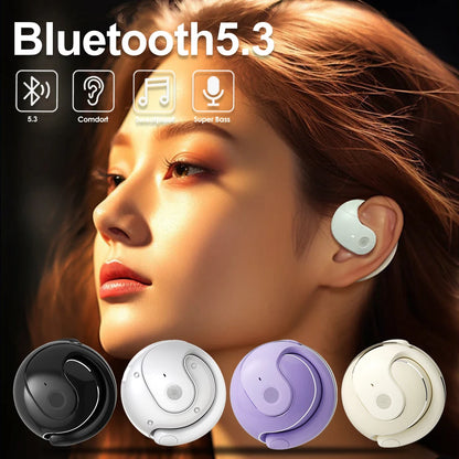 outdoor sport dustproof  Noise reduction wireless bluetooth 5.3 comfort earhook earbuds earphones