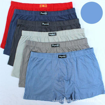 Men's cotton shorts