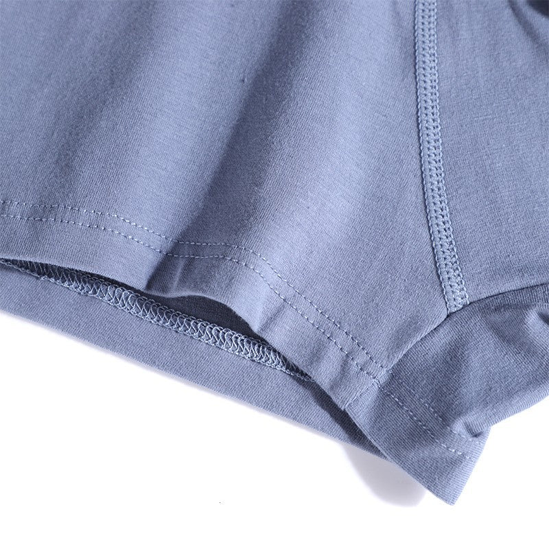 Men's Breathable Oversized Summer Boxer Shorts