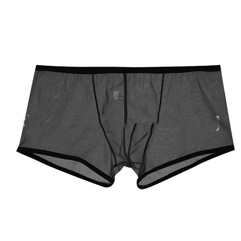 Summer Men's Mesh Low Waist Panties