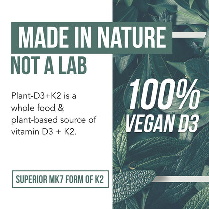 Organic Plant D3 + K2 (5000 iu D3) - All-Trans MK7 from MenaQ7 (120 mcg K2) - 100% Organic & Plant-Based Sublingual D3 Drops (Cholecalciferol), 100% Vegan - Supports Immunity, Bone(1oz)