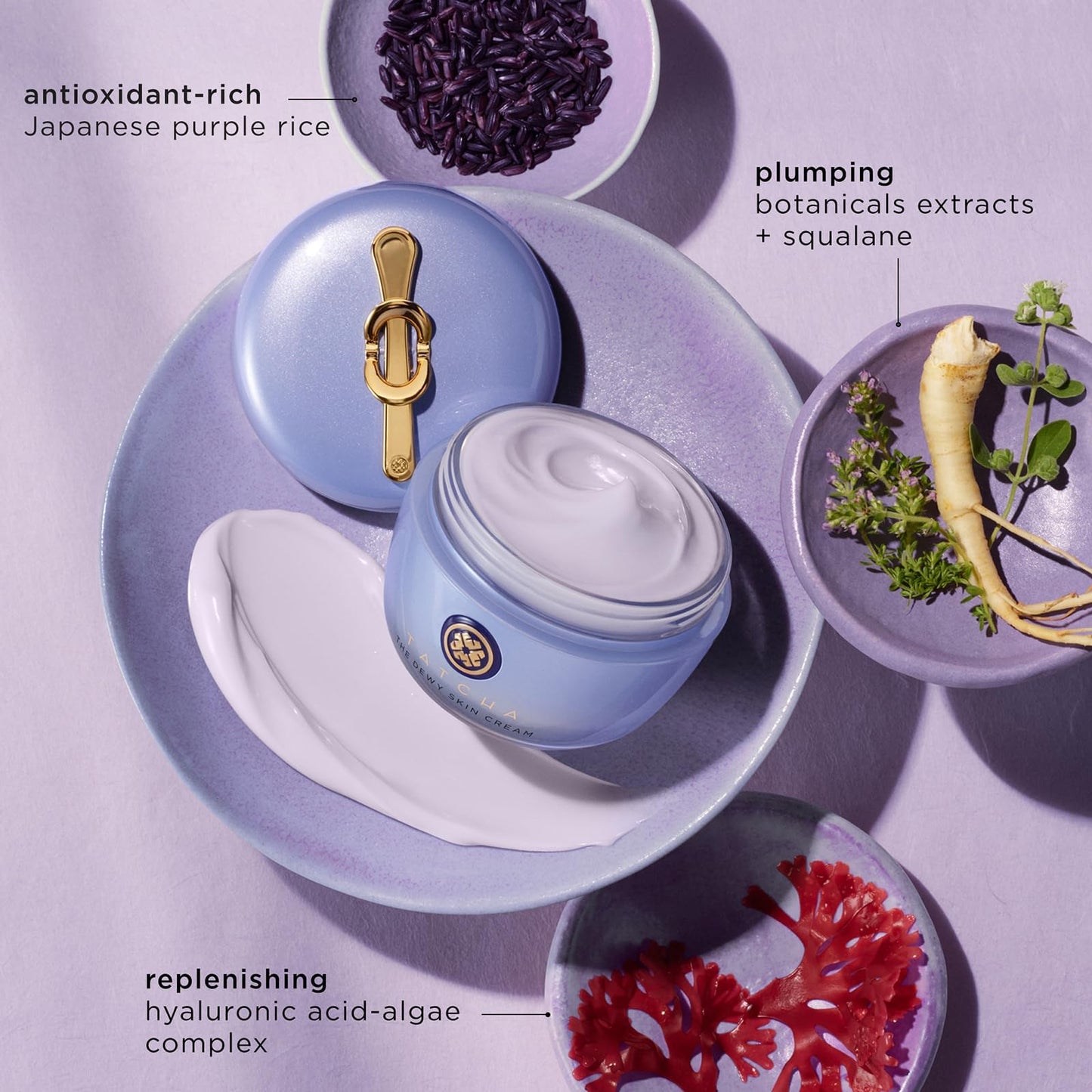 TATCHA The Dewy Skin Cream: Rich Cream to Hydrate