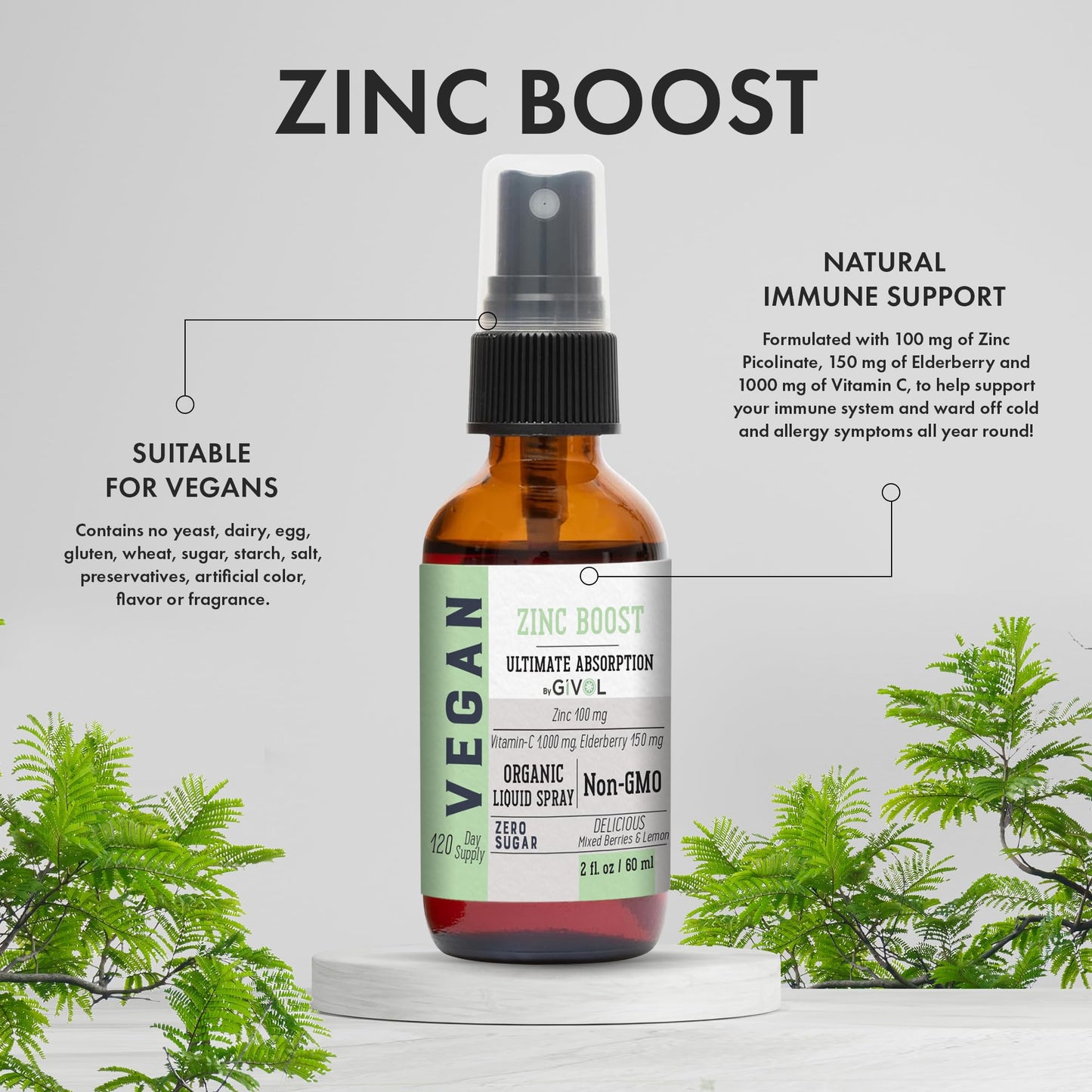 Organic ZINC Boost Mist 100 g (Extra Strength) - Sugar Free with Vit C and Elderberry Extract - Vegan Liquid Spray for Kids and Adults - Easy Absorption - Non-GMO - (60 ml) 60 Days Supply