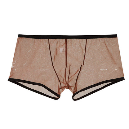 Summer Men's Mesh Low Waist Panties