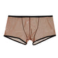 Summer Men's Mesh Low Waist Panties