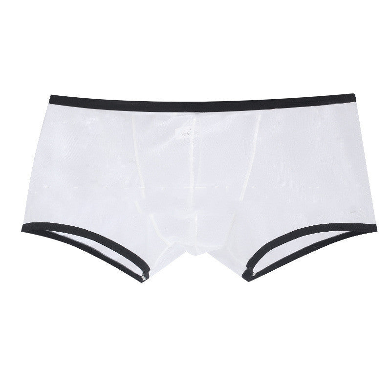 Summer Men's Mesh Low Waist Panties