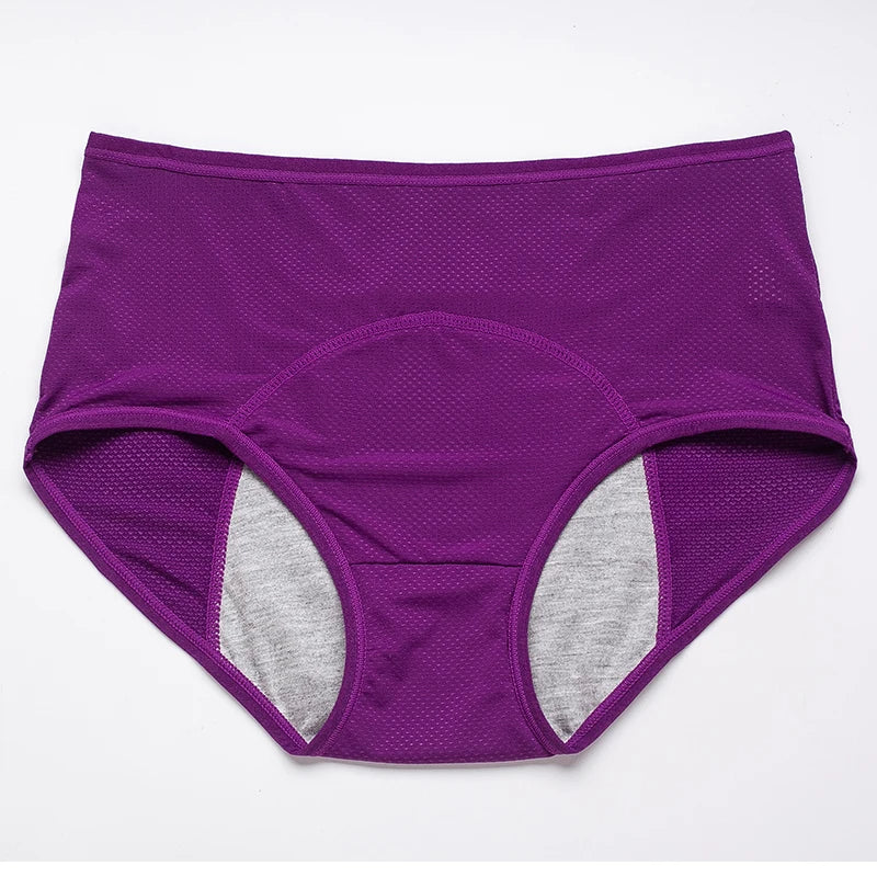 Menstrual Briefs Leak Proof Incontinence Environmetal Underwear Period Panties High Warm Female Women Sexy Pants