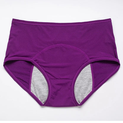 Menstrual Briefs Leak Proof Incontinence Environmetal Underwear Period Panties High Warm Female Women Sexy Pants