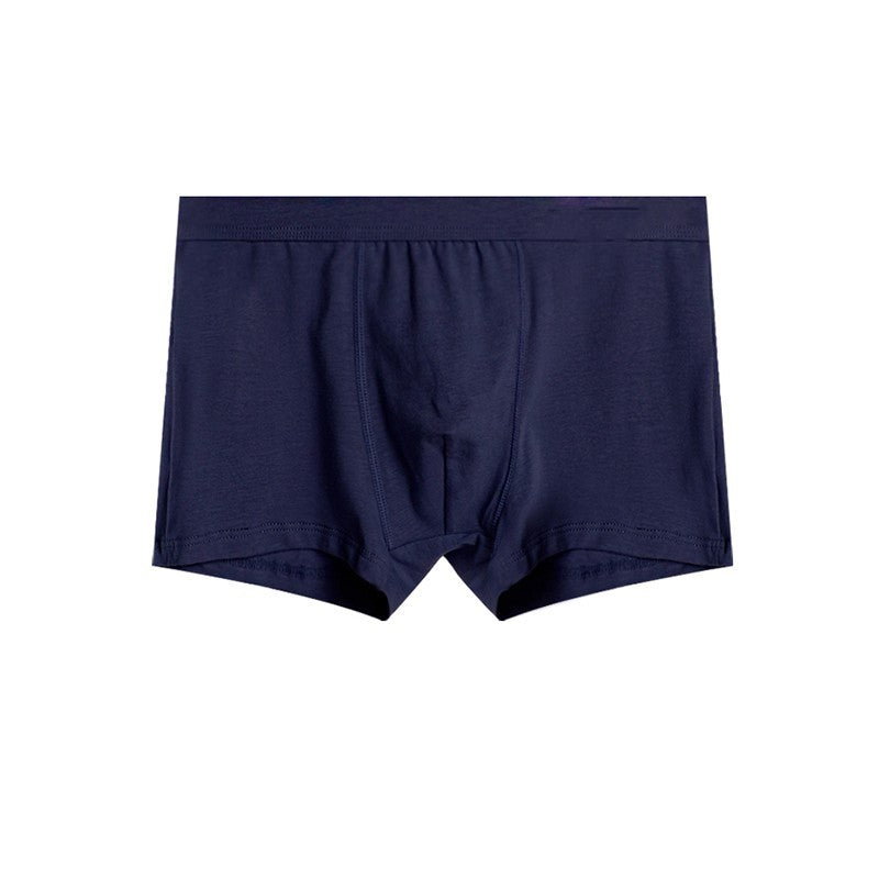 Men's Breathable Oversized Summer Boxer Shorts