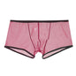 Summer Men's Mesh Low Waist Panties