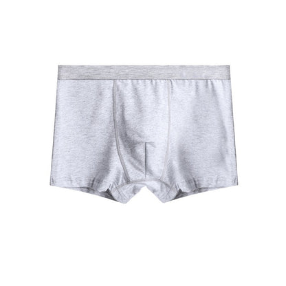 Men's Breathable Oversized Summer Boxer Shorts