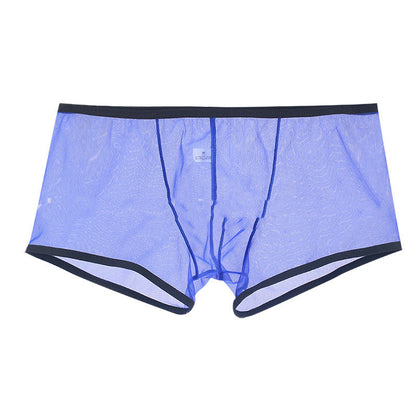 Summer Men's Mesh Low Waist Panties